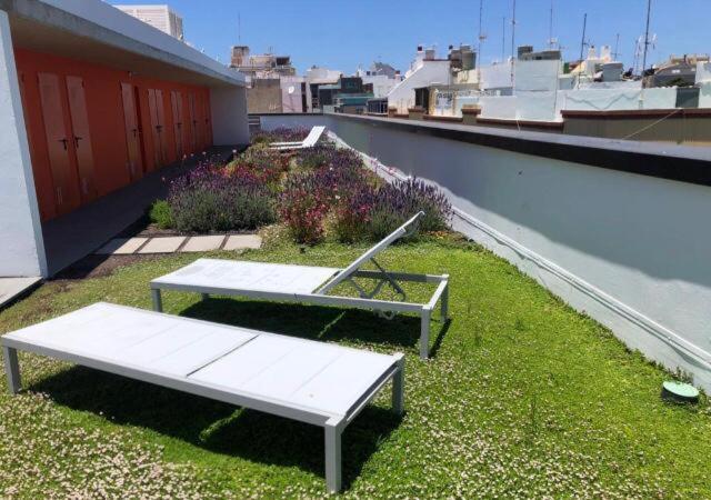 Zen Garden Lägenhet Las Palmas de Gran Canaria Exteriör bild